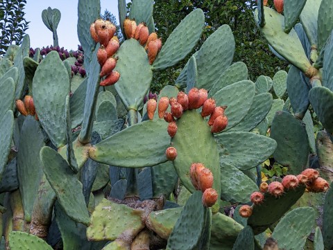 PXL_20221031_002855744