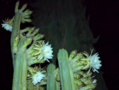 PXL_20240903_041801203